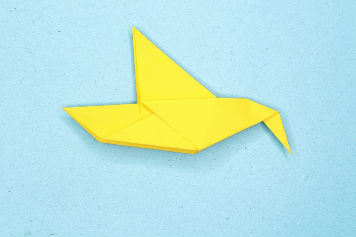 Humming bird step 18