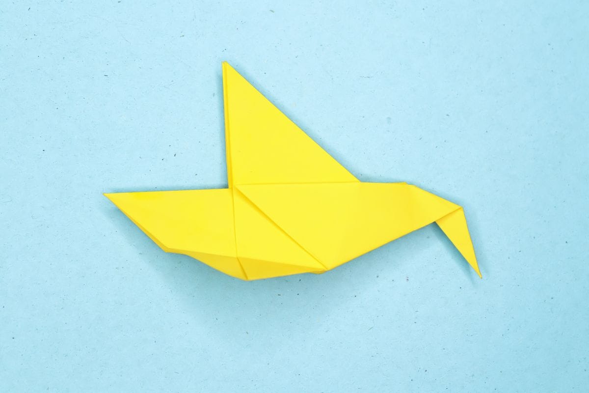 Humming bird step 19