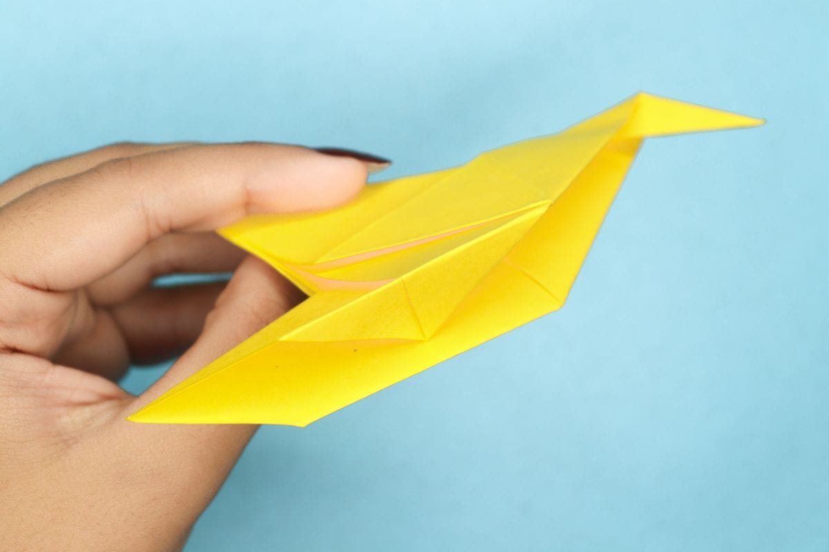 Humming bird step 20