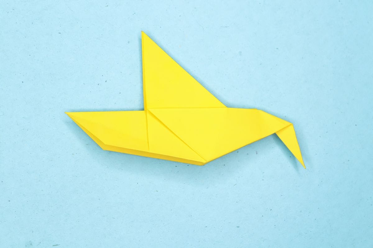 Humming bird step 21