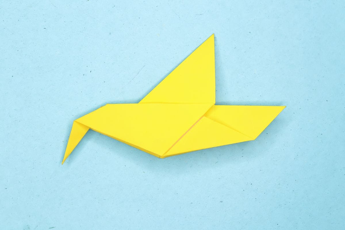 Humming bird step 22