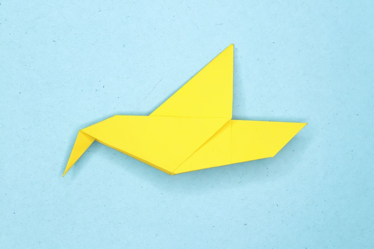 Humming bird step 23