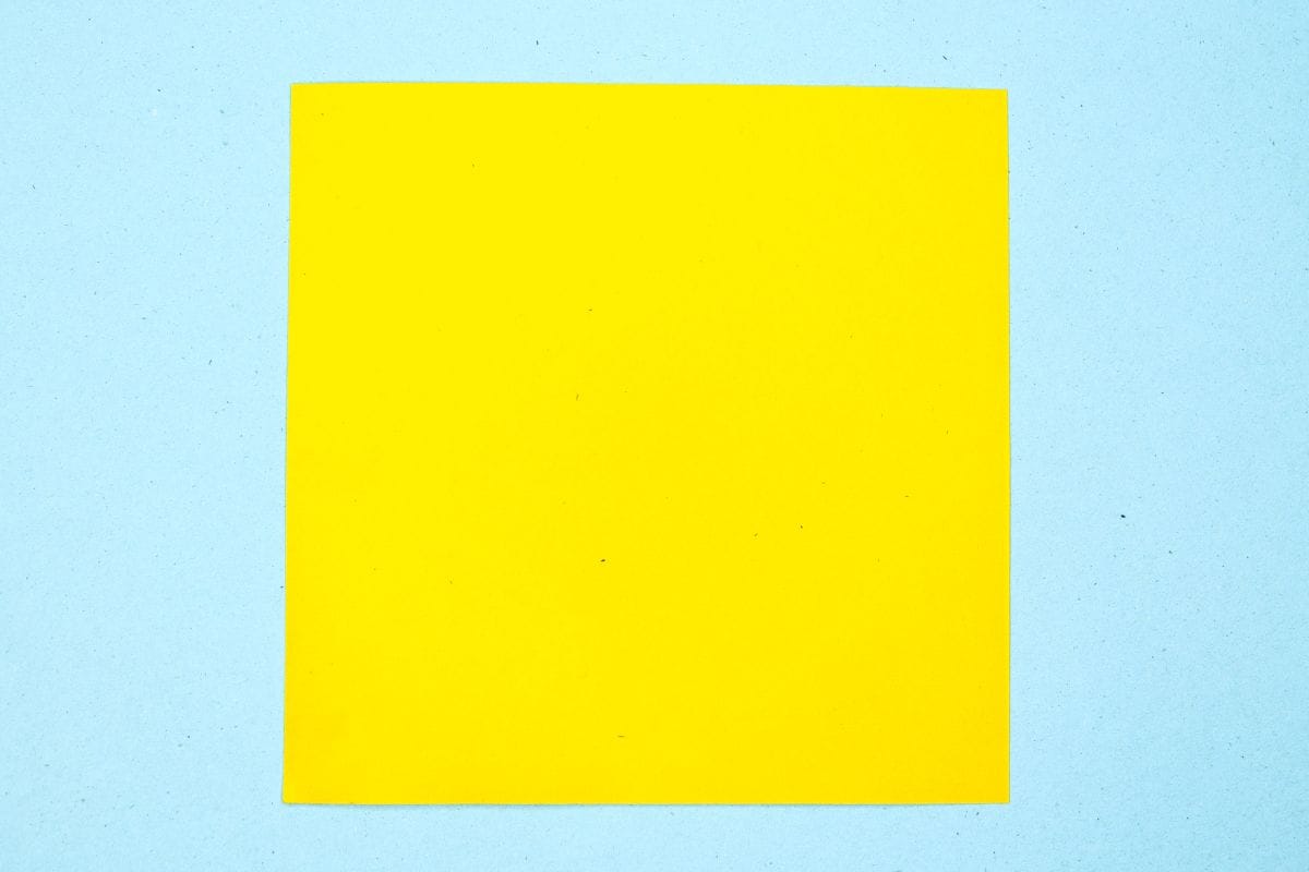 Origami sloth step 01