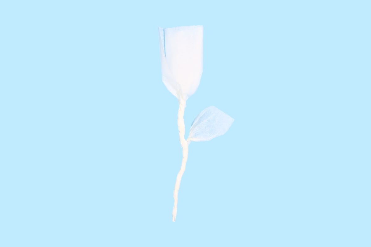 Tissue rose step final