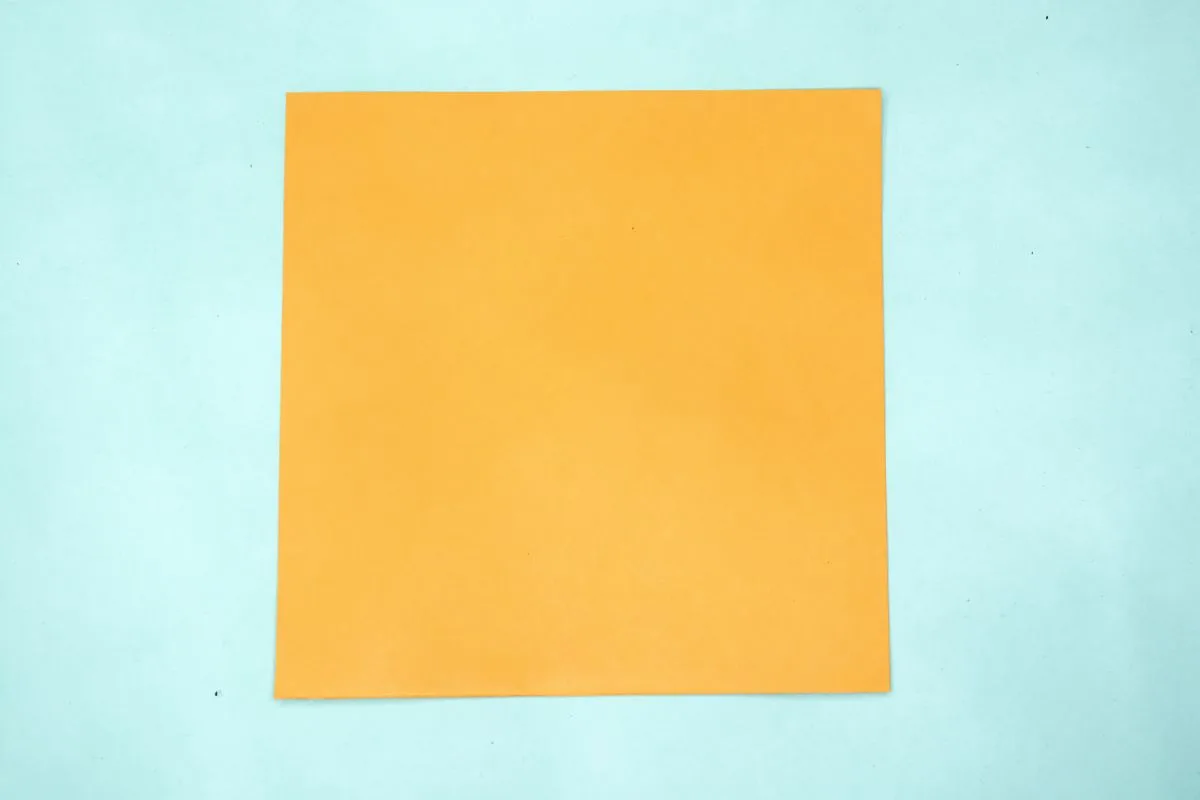 Origami pigeon step 01