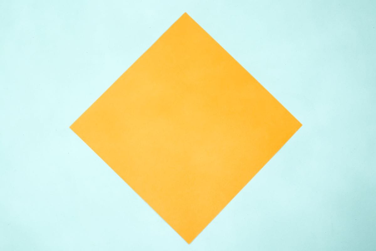 Origami pigeon step 02