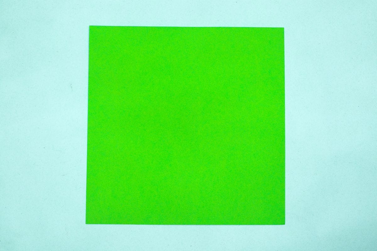 Origami turtle step 01