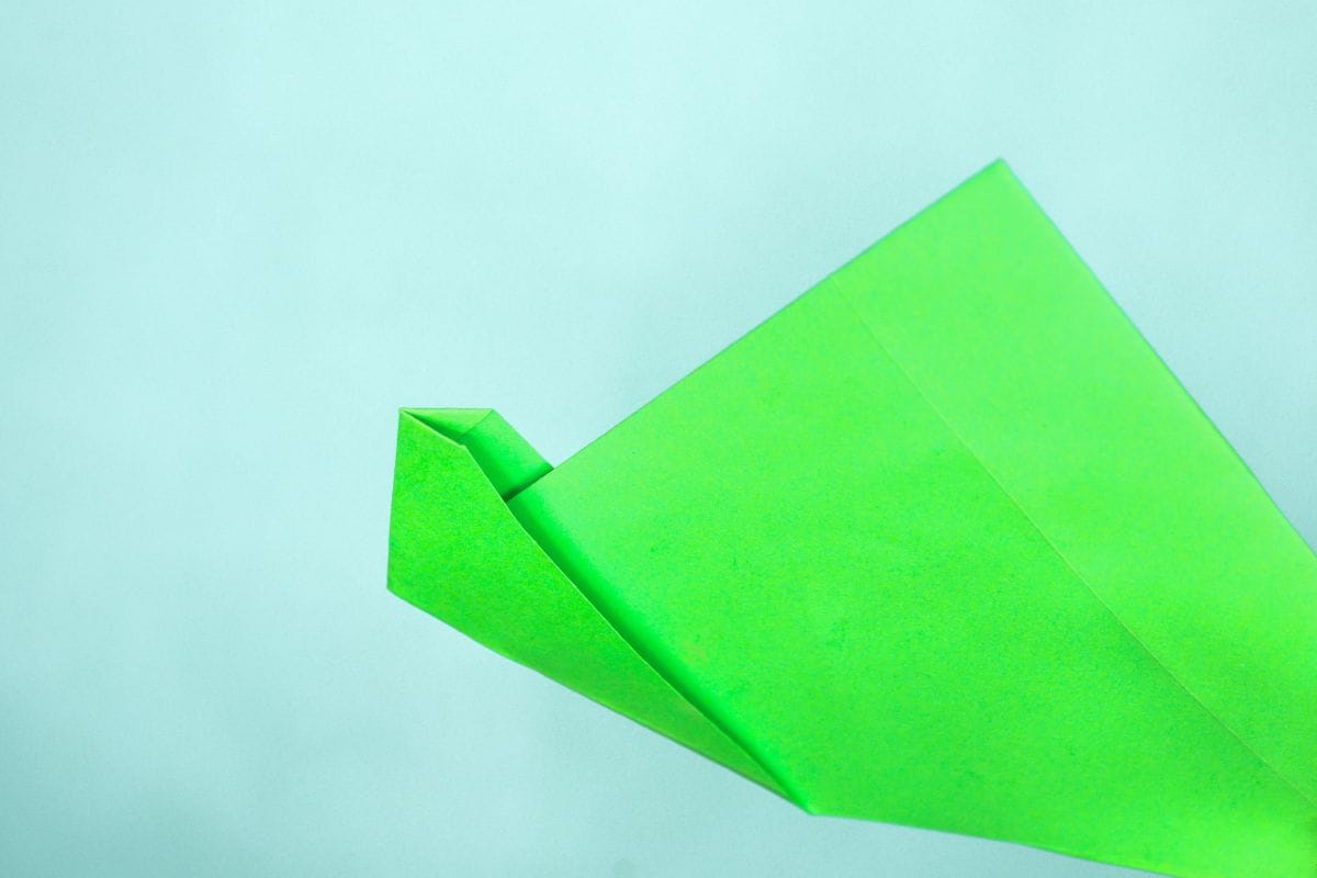 Origami turtle step 12