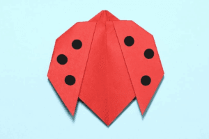 Cute and Easy Origami Ladybug