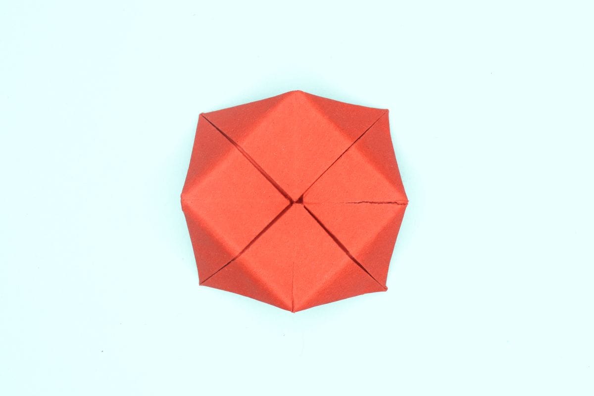 lotus blossom step 23