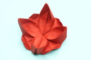 How to Make an Origami Lotus Flower