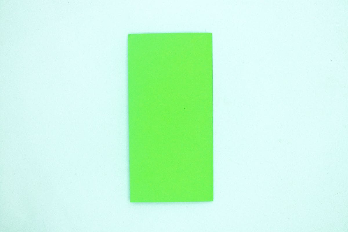 Easy origami parrot step 02