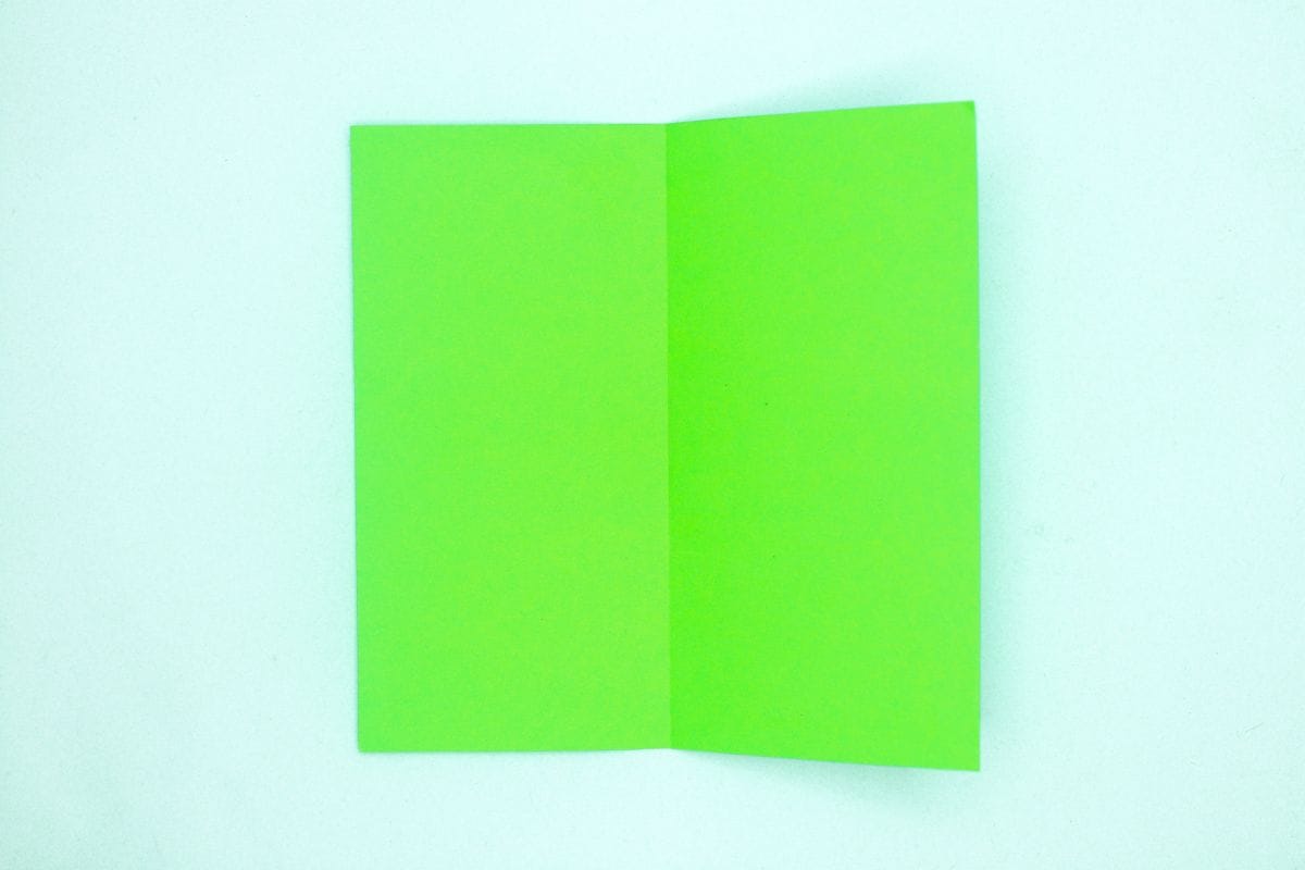 Easy origami parrot step 03